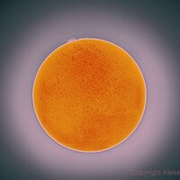 Alessandro_Merga