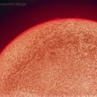 Alessandro_Merga
